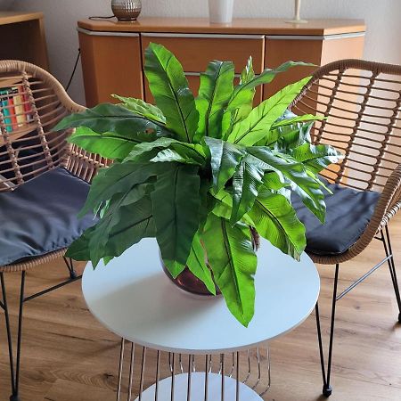 Apartment Sehring Ельде Екстер'єр фото